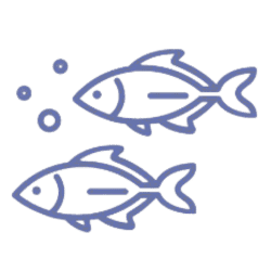 Unser Fischöl